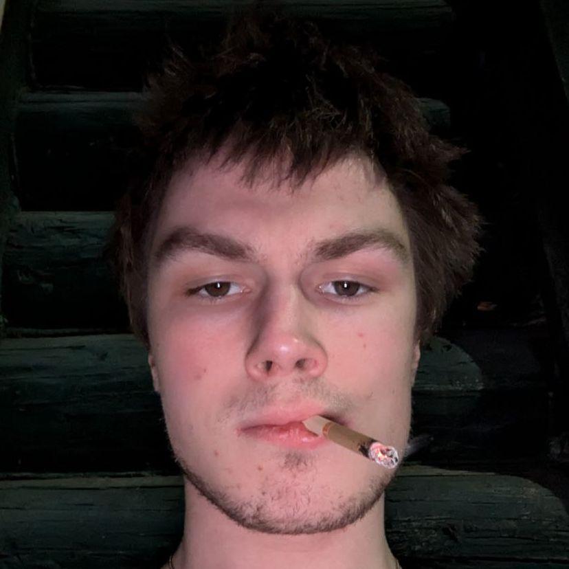timabeka avatar
