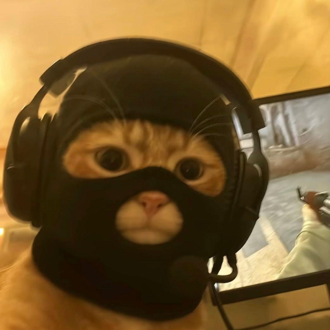 BBGnush avatar