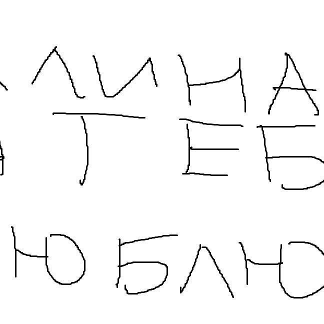 Fleshka_a