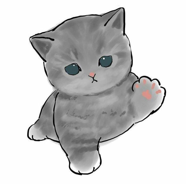 _Tin6