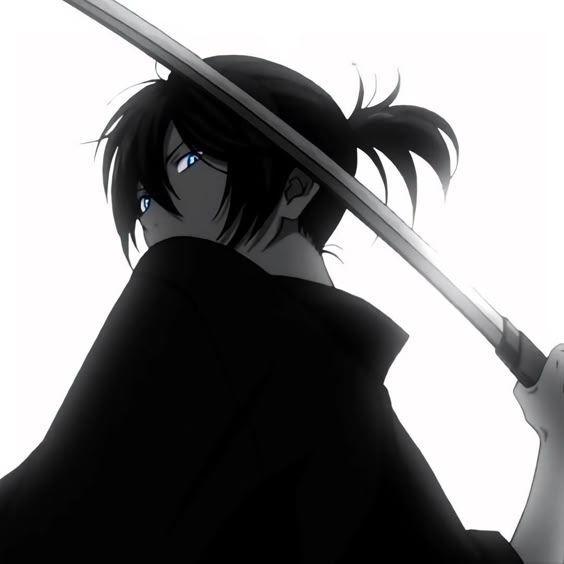 Popus228 avatar