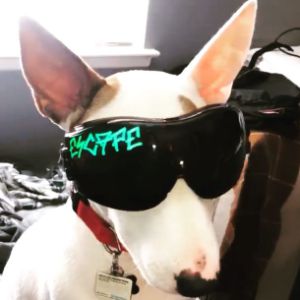 Faceit Avatar