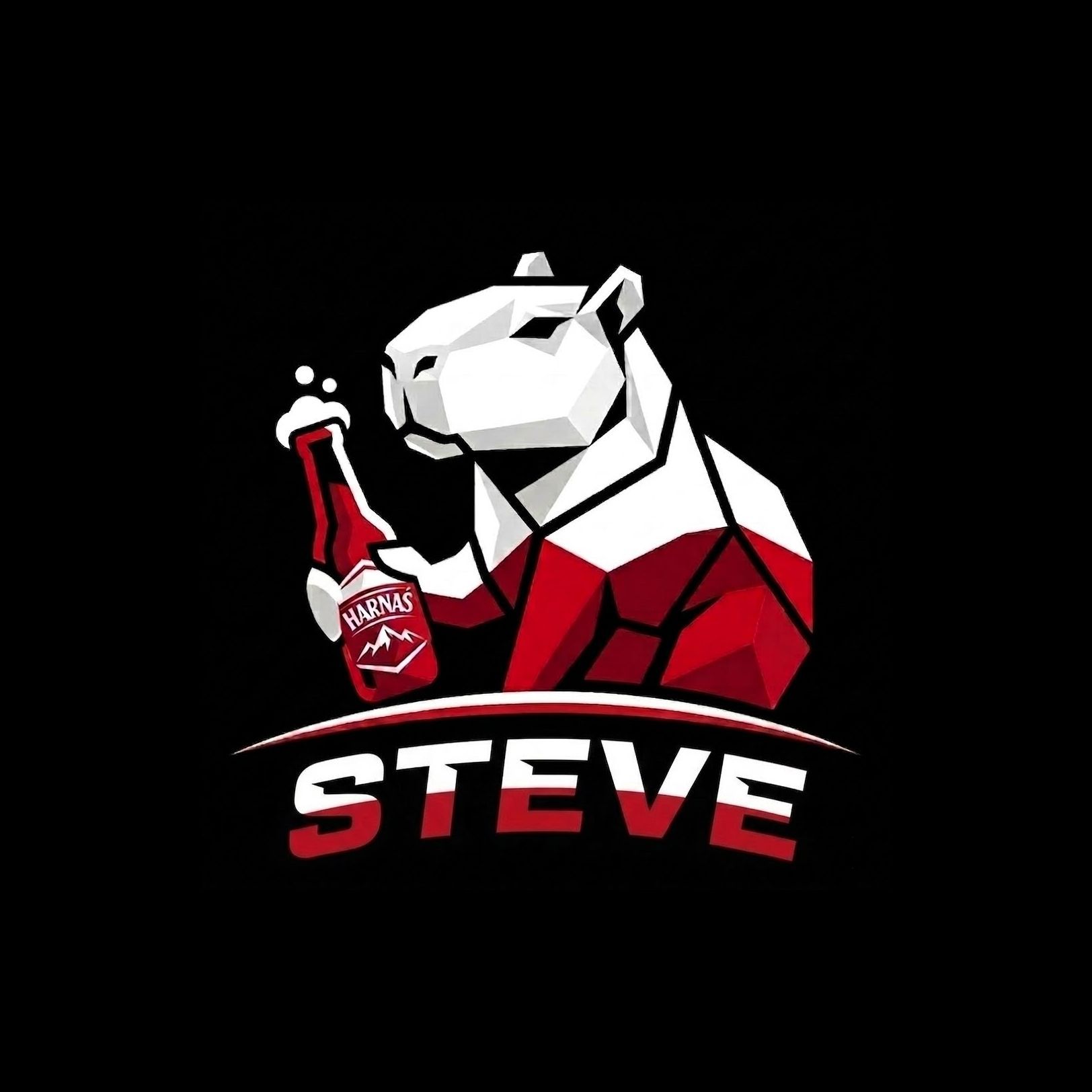 St3ve04 FACEIT avatar