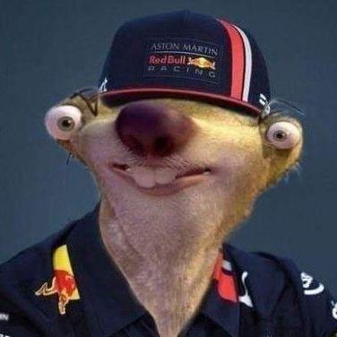 MaxWerstapen avatar