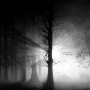 black_fog