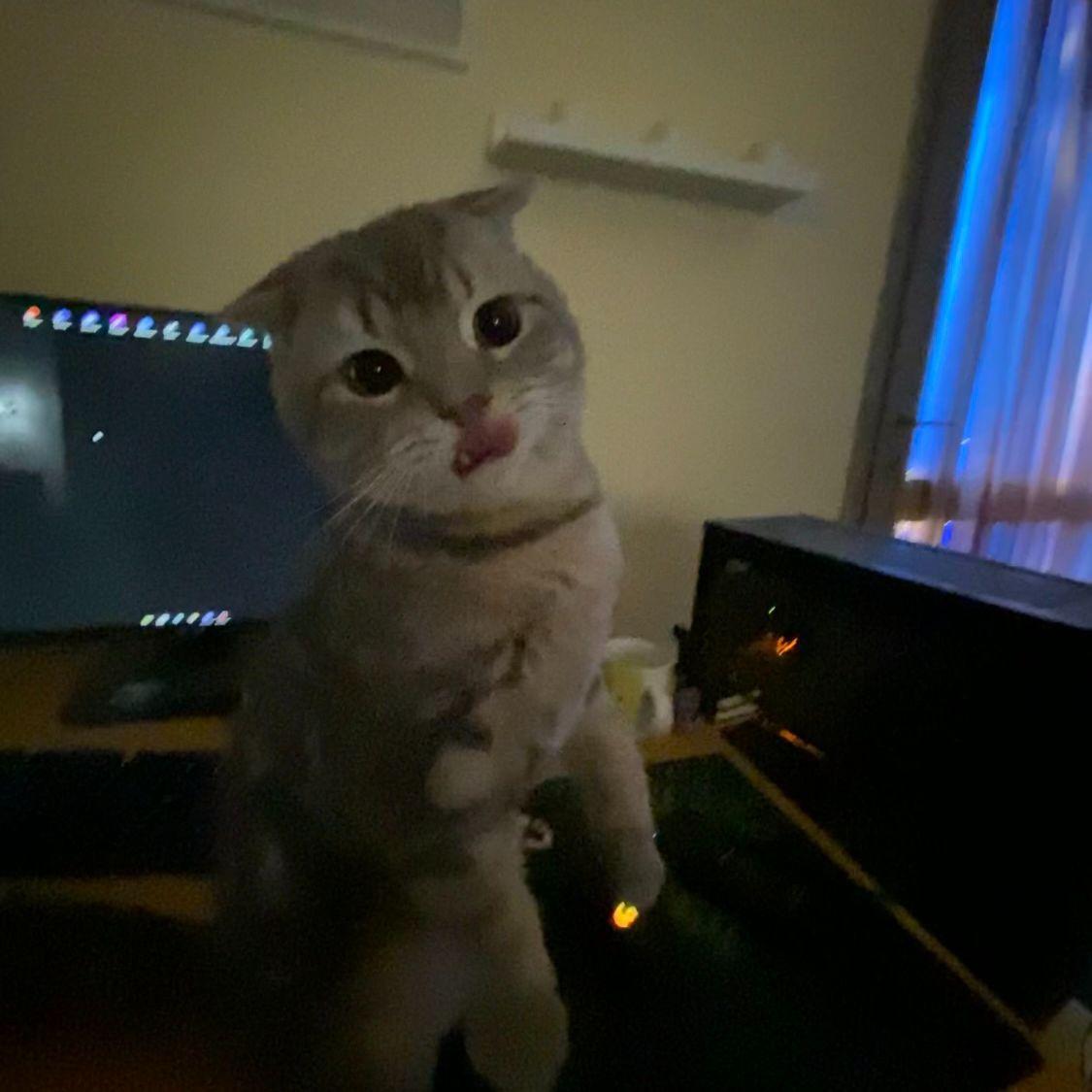 Bo3abd avatar