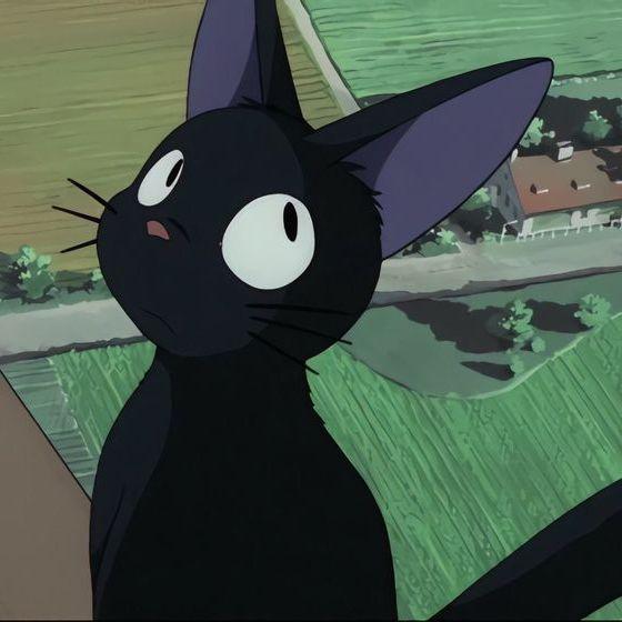Eylon1 avatar