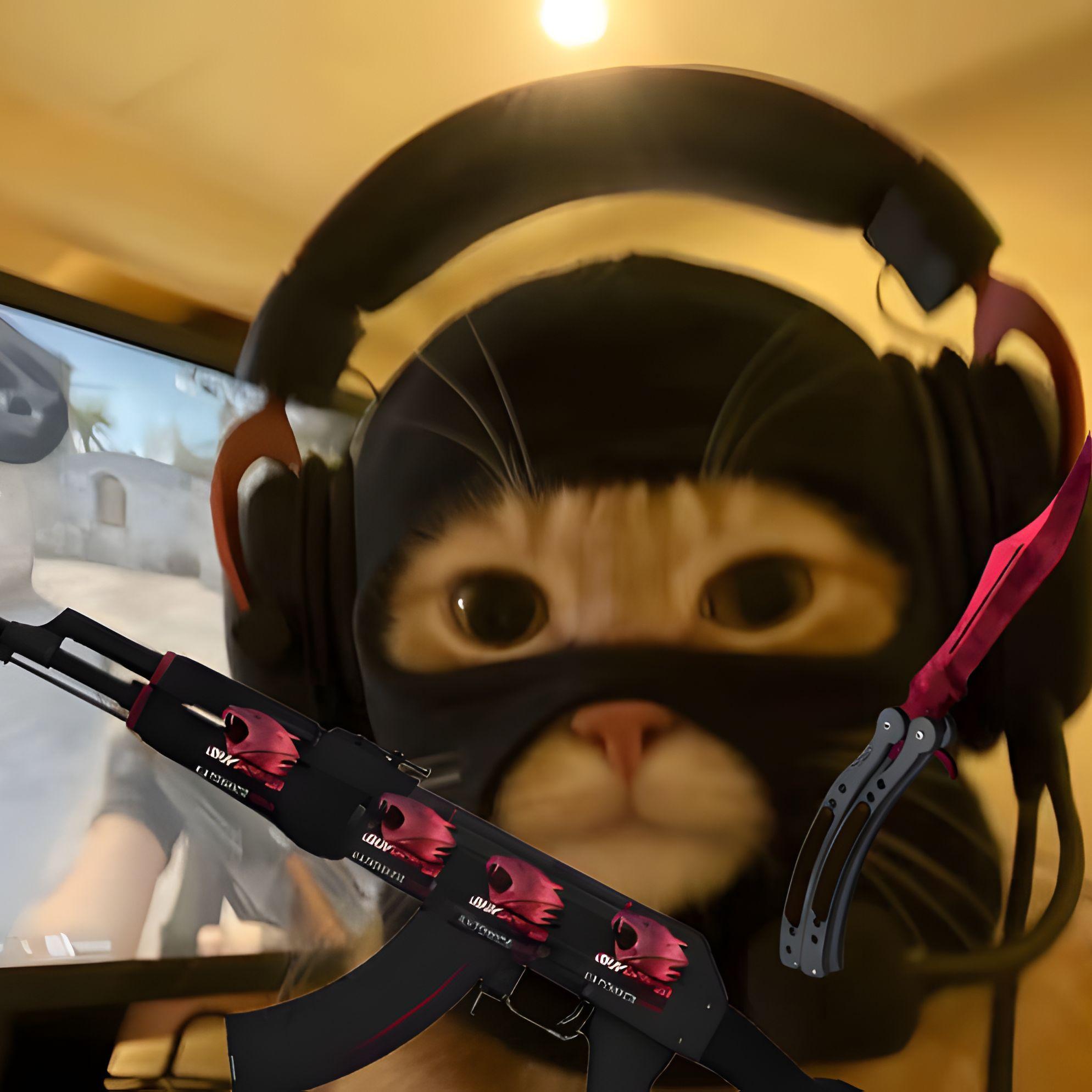 DonWyns avatar