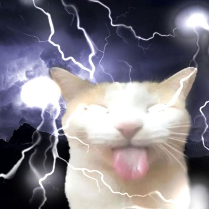 nt_lxst