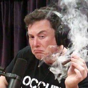 MrGreenMind1 avatar