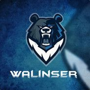 Team Walinser