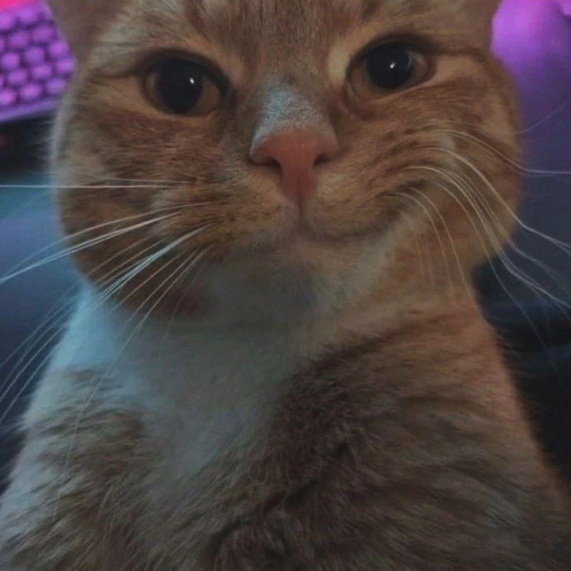 m0pseek avatar