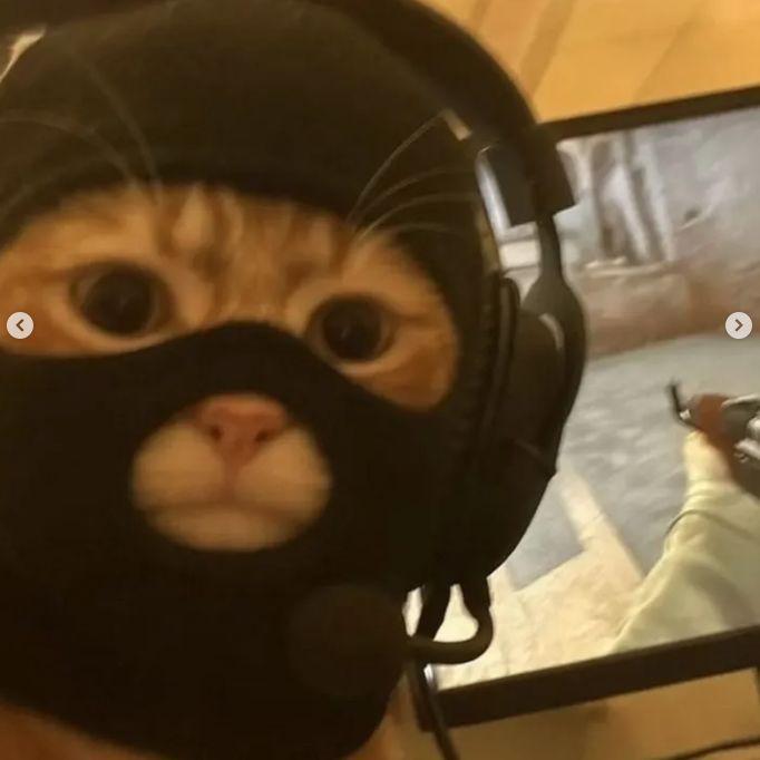 Dryvv avatar