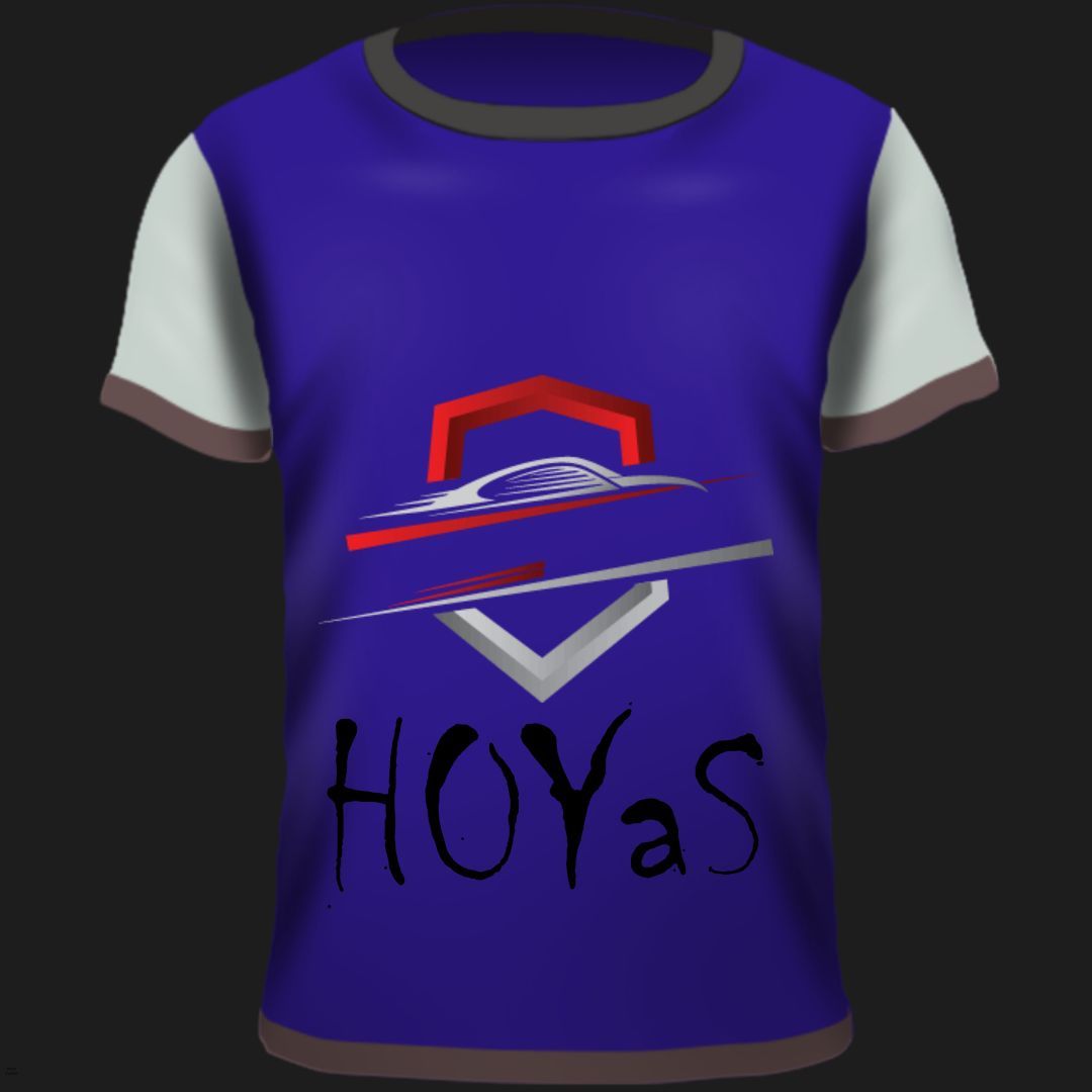 team_H0YaS