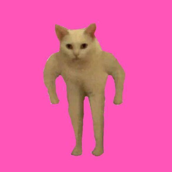 p00ssy22 avatar