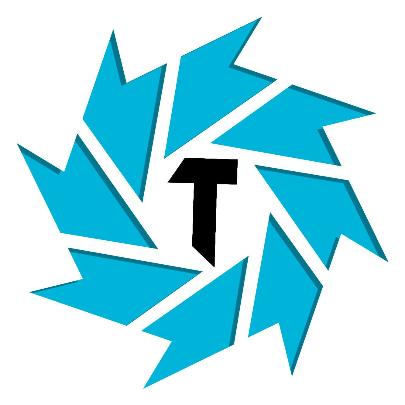 Twist Team