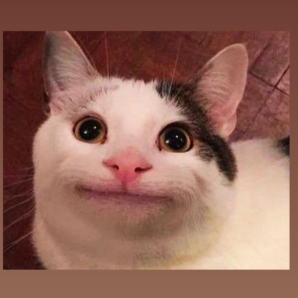 schurenKO avatar
