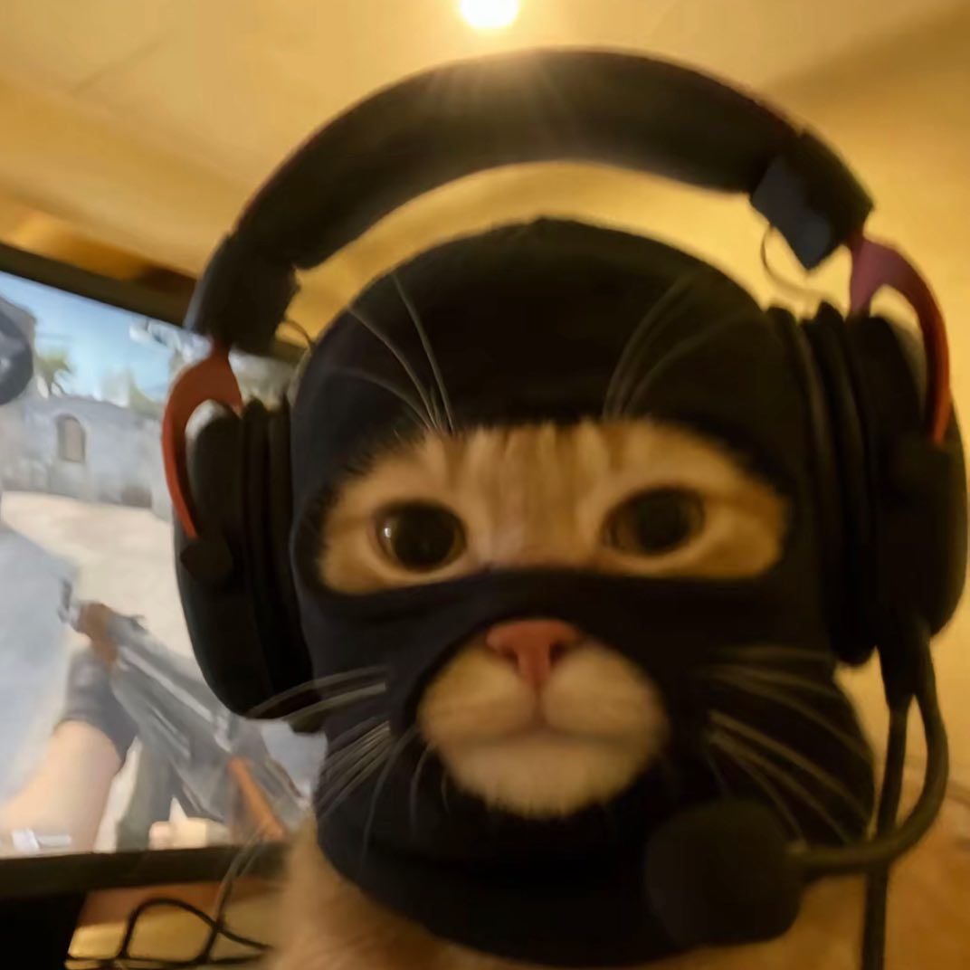 bogusszpadel FACEIT avatar