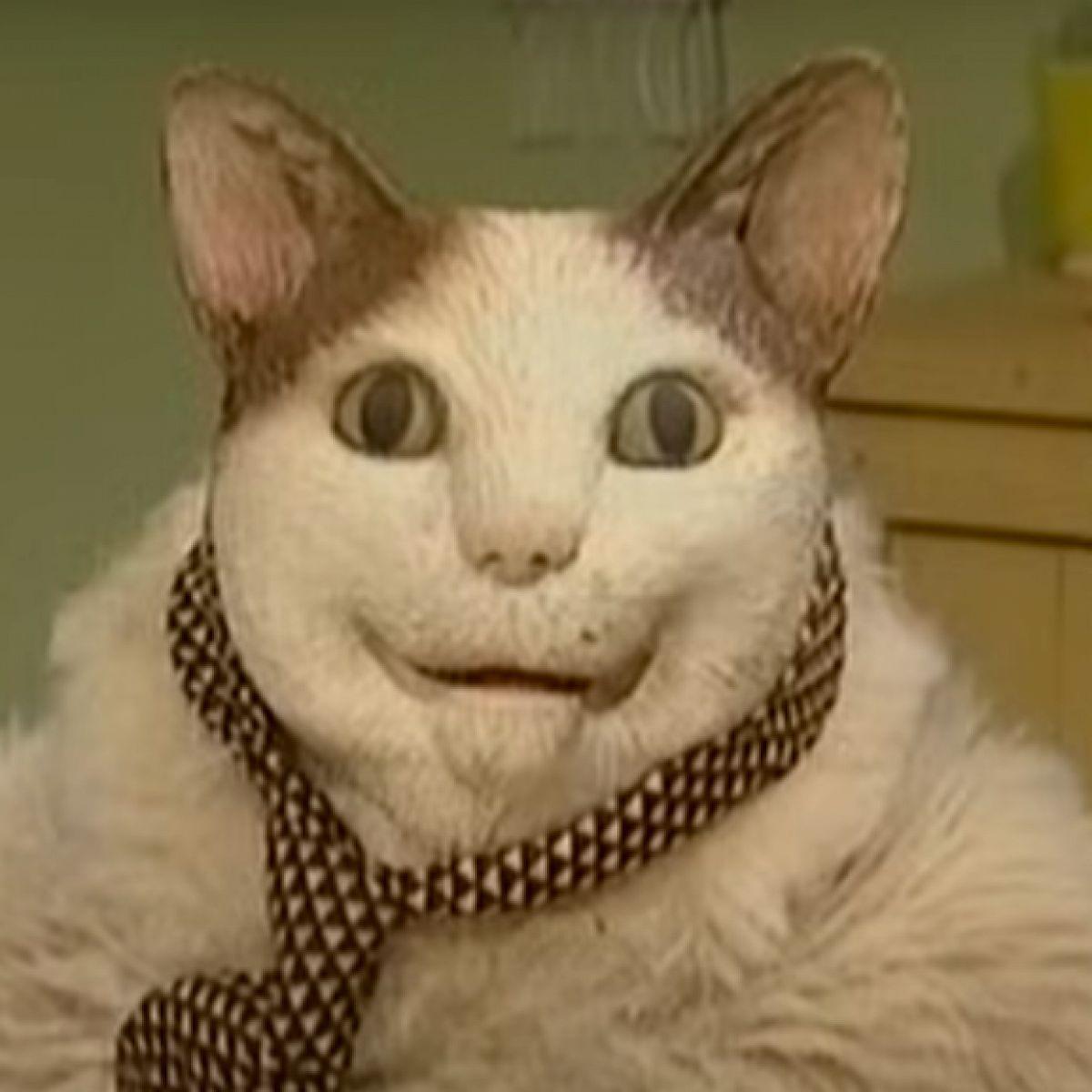 SashaXimash avatar