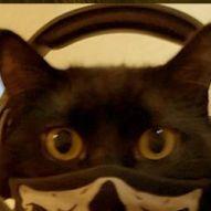 katz avatar