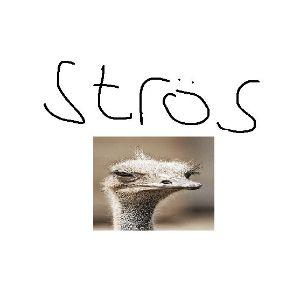 Extrose avatar