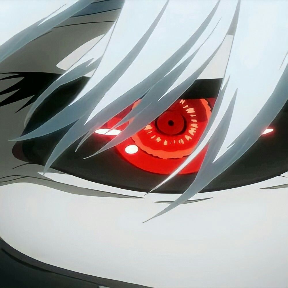 DN0vikon