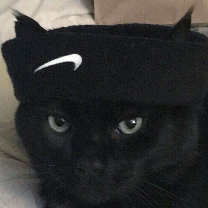 leak1 avatar