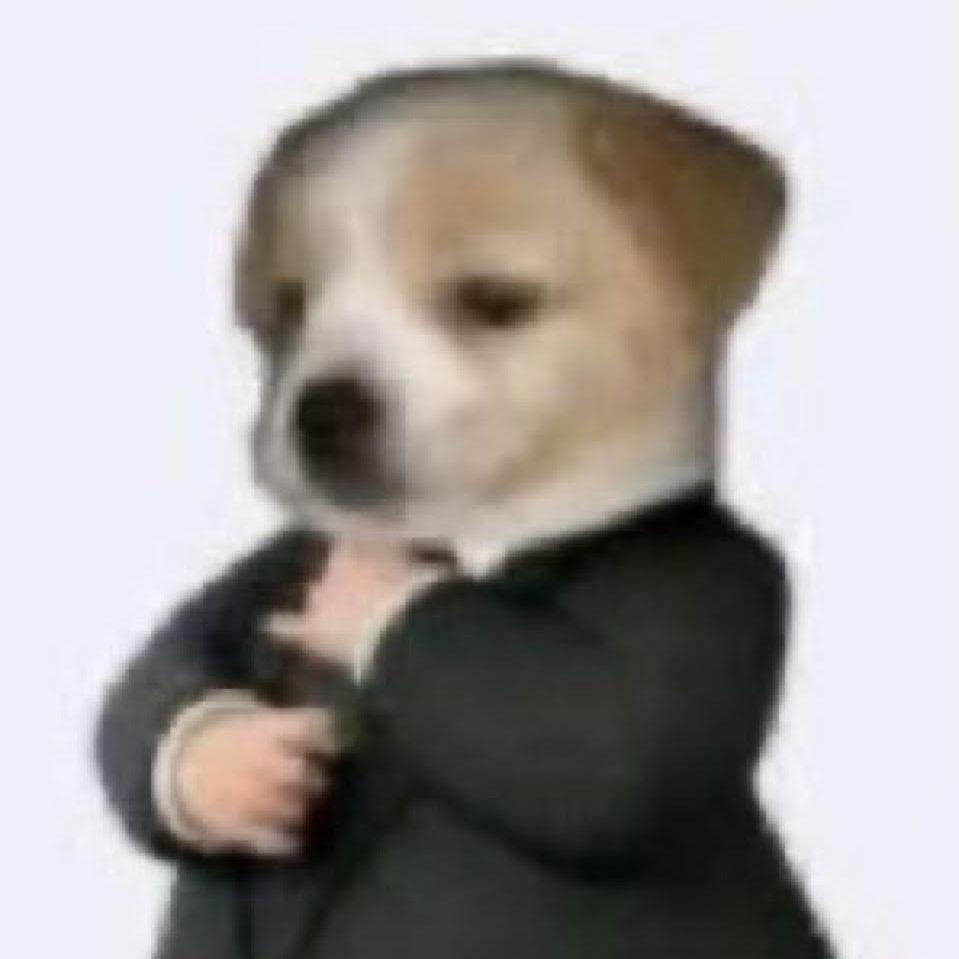 anitamaxbean avatar