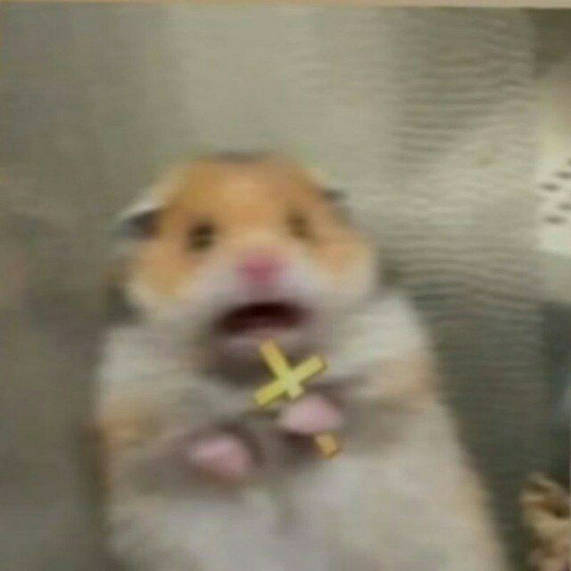 Pravl