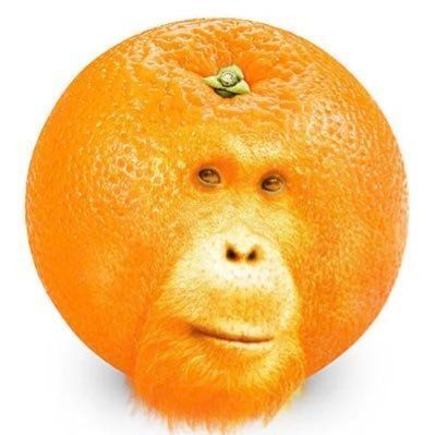 Pr3mVu avatar