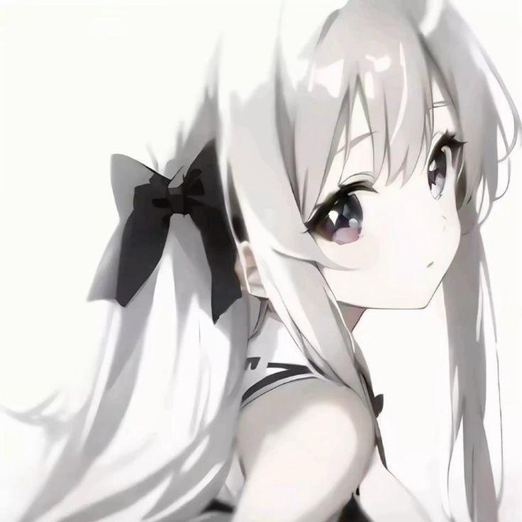 Pooksy avatar