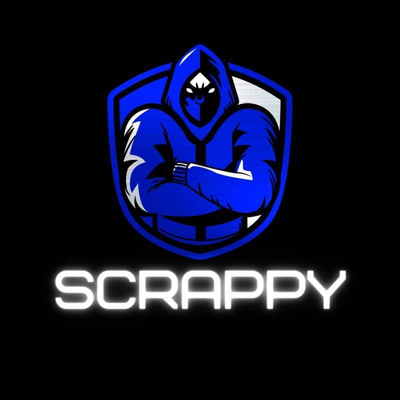 Player Skr4ppy avatar