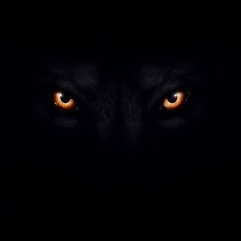 _drs- FACEIT avatar