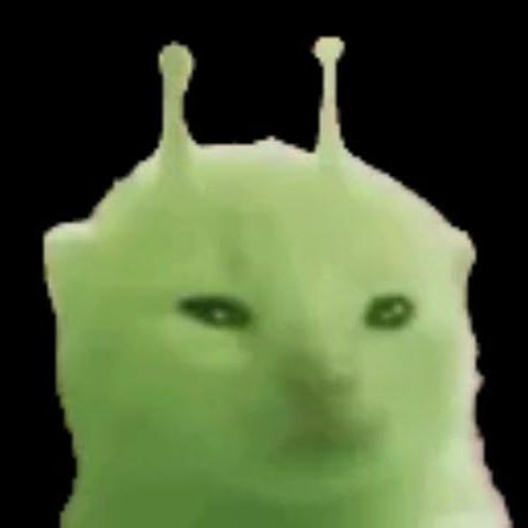 team_KapiVuitton