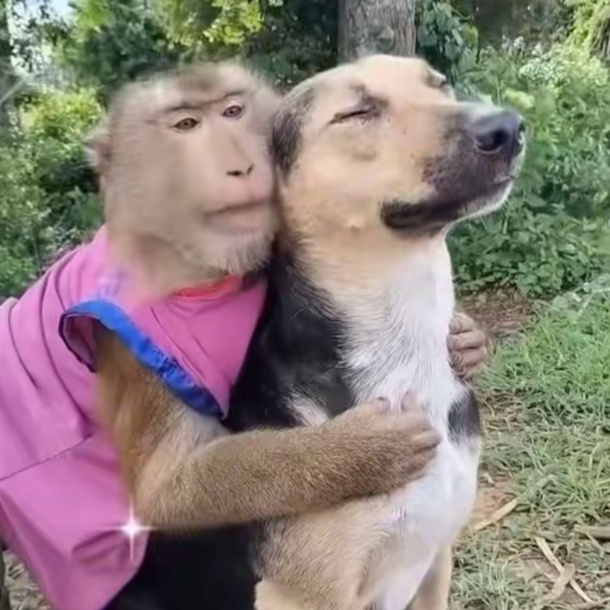 smuckmyballs