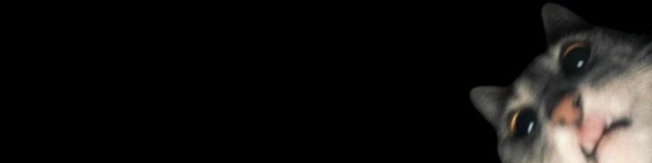 Faceit banner for @midnight