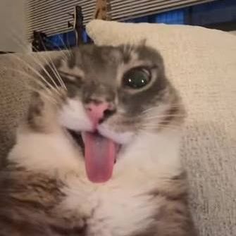 _abx
