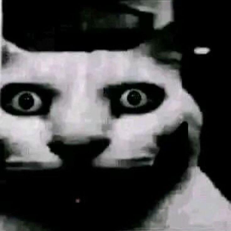 dorasNapkin7 avatar