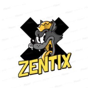 Player ZentiX-1997 avatar