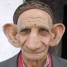 team_MEYBII