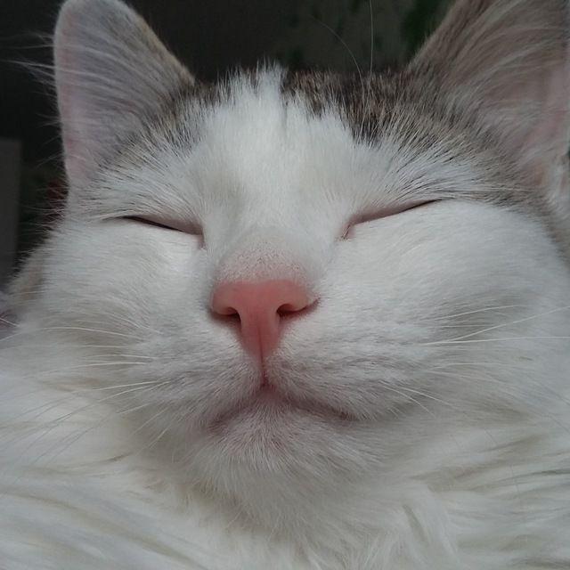 FUGEXY avatar