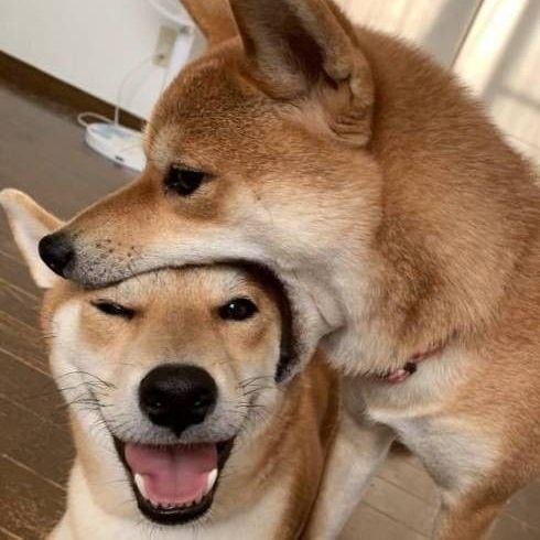 Family Gaming