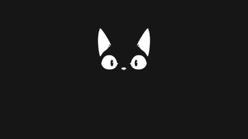 -Novik avatar