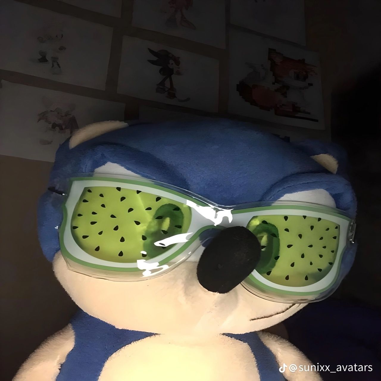 evcolidzz