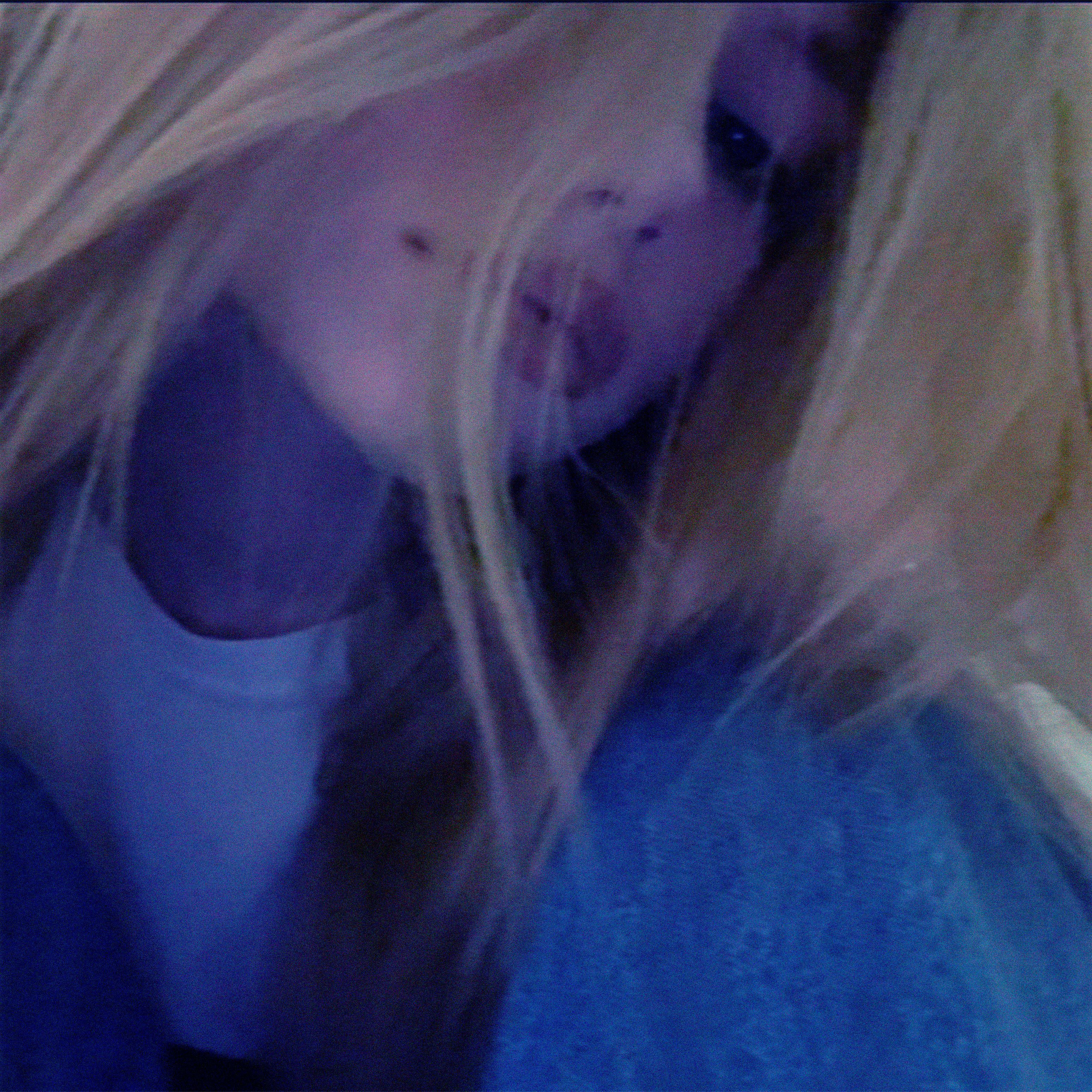 Lakrica_