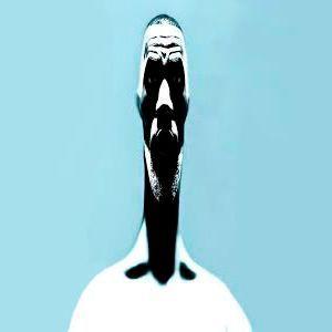 tortik18 avatar