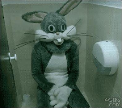 Bugs_s