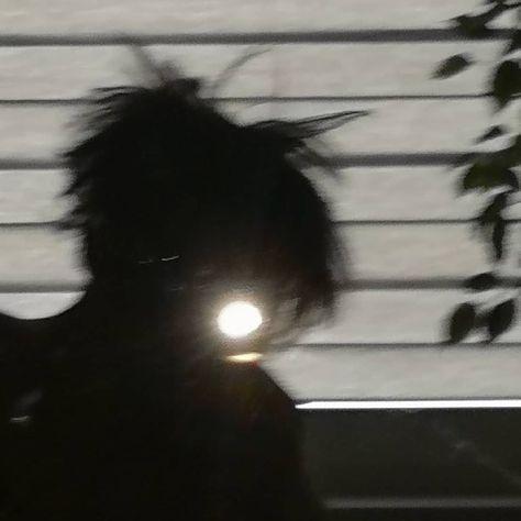 Xenninane avatar