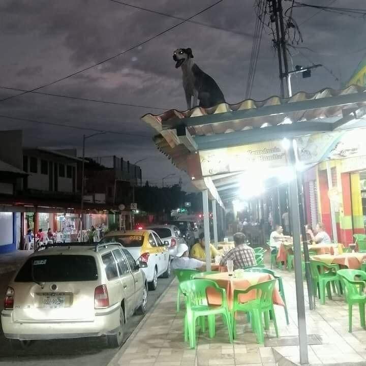 kempa-