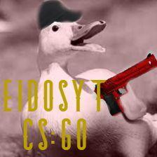 EidosYT avatar